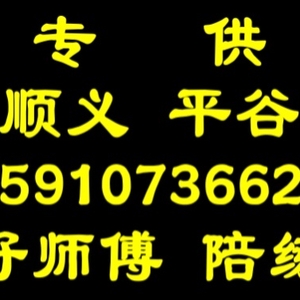 平谷陪练公司一对一练车